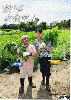 我们的乐队季 音乐综艺在线